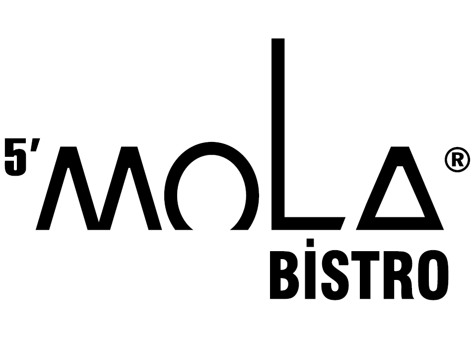 IMG-LOGO